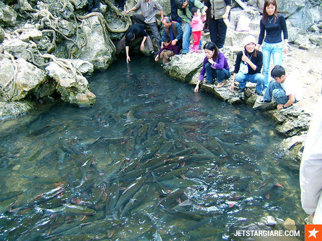 ve may bay di thanh hoa gia re nhat