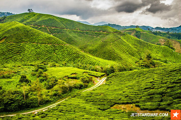 ve may bay di malaysia gia re