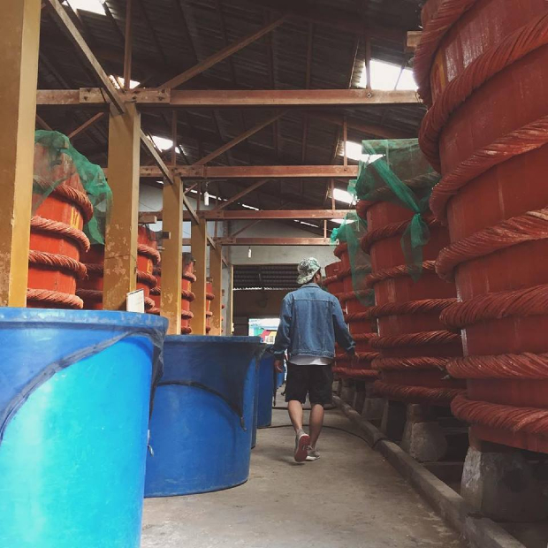 Nhà thùng nước Mắm ở Phú Quốc vé máy bay Phú Quốc